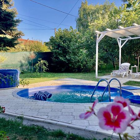 White House With Sauna And Jacuzzi Novi Sad Esterno foto