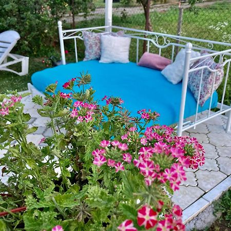 White House With Sauna And Jacuzzi Novi Sad Esterno foto