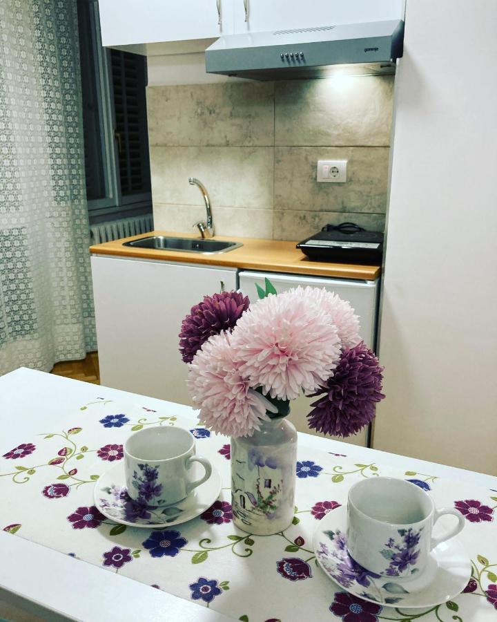 White House With Sauna And Jacuzzi Novi Sad Esterno foto