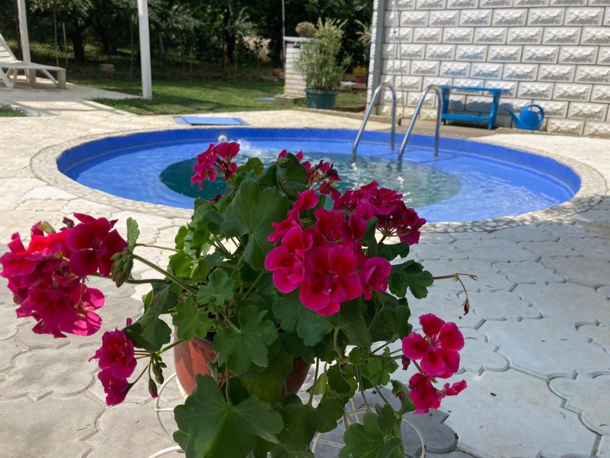 White House With Sauna And Jacuzzi Novi Sad Esterno foto