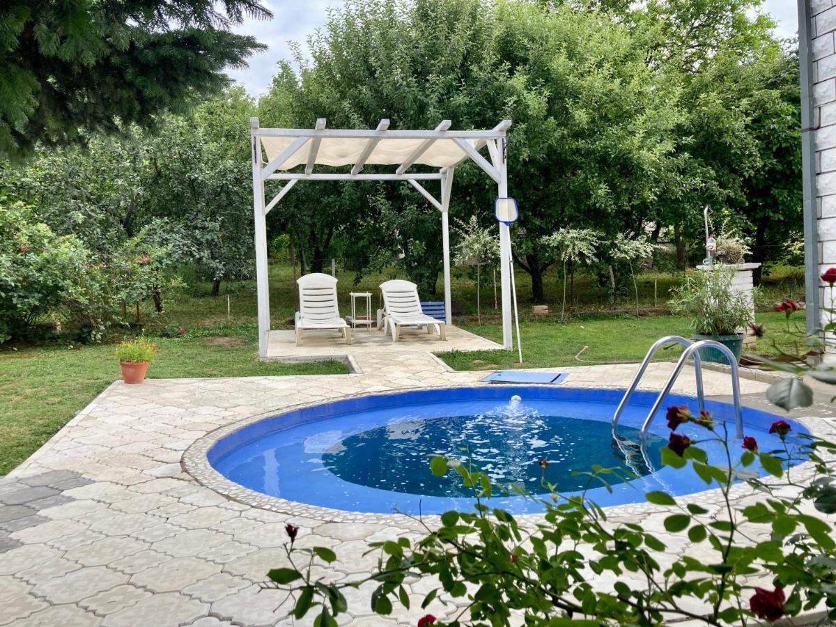 White House With Sauna And Jacuzzi Novi Sad Esterno foto