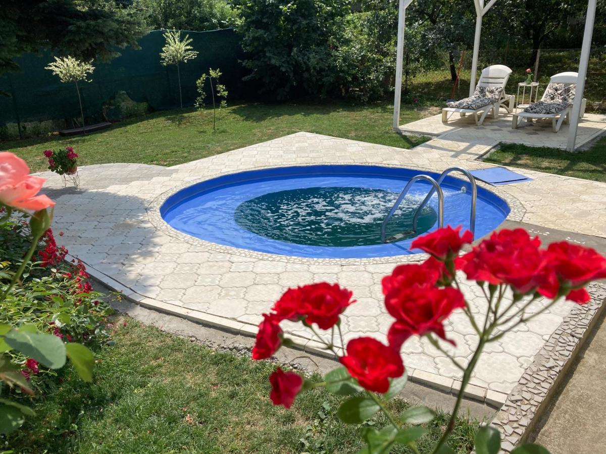 White House With Sauna And Jacuzzi Novi Sad Esterno foto