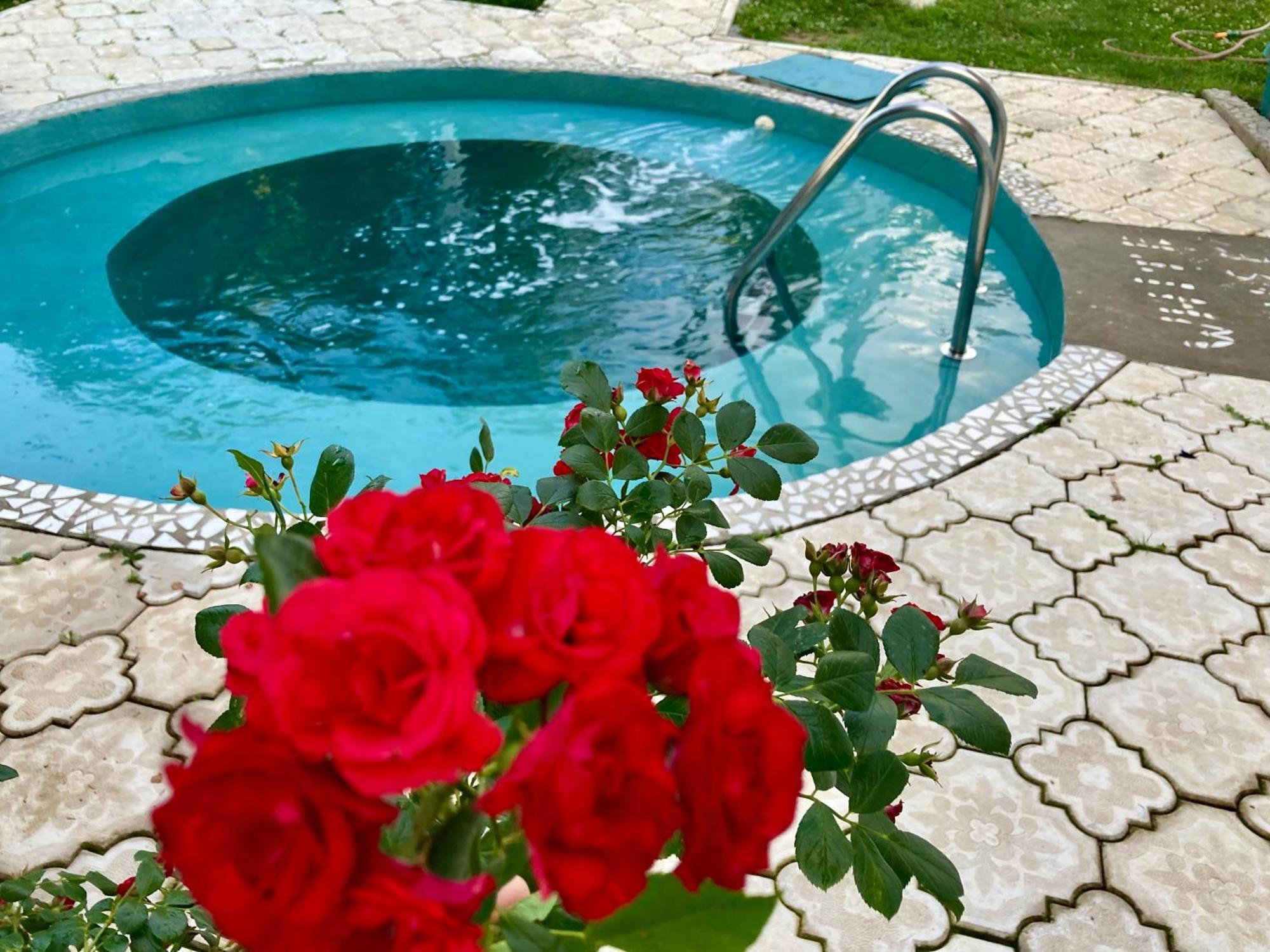 White House With Sauna And Jacuzzi Novi Sad Esterno foto