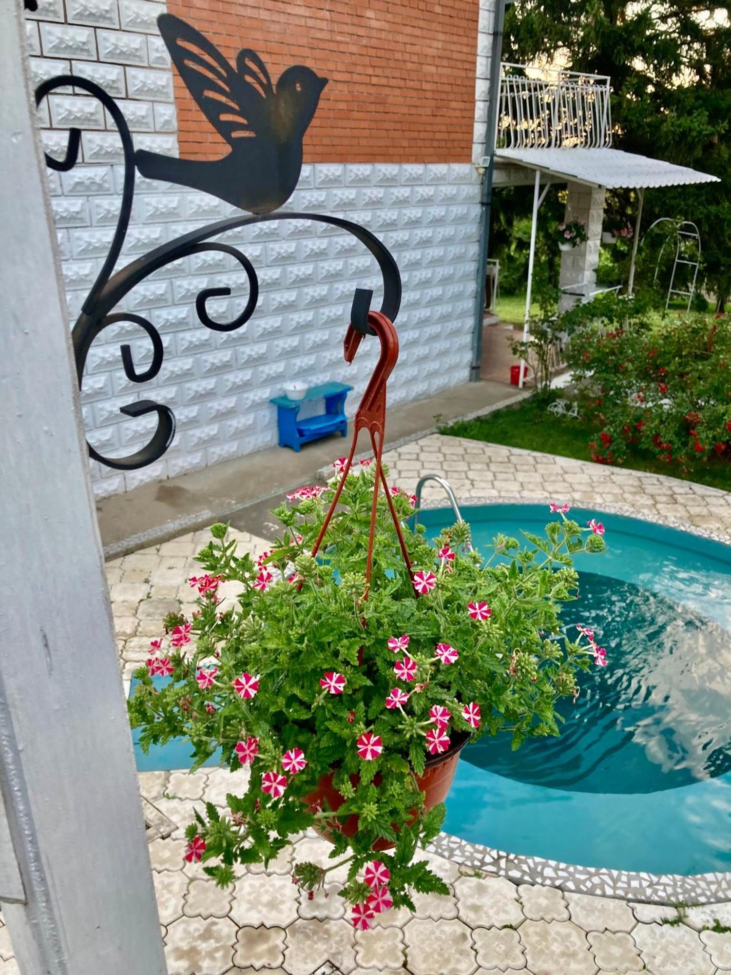White House With Sauna And Jacuzzi Novi Sad Esterno foto