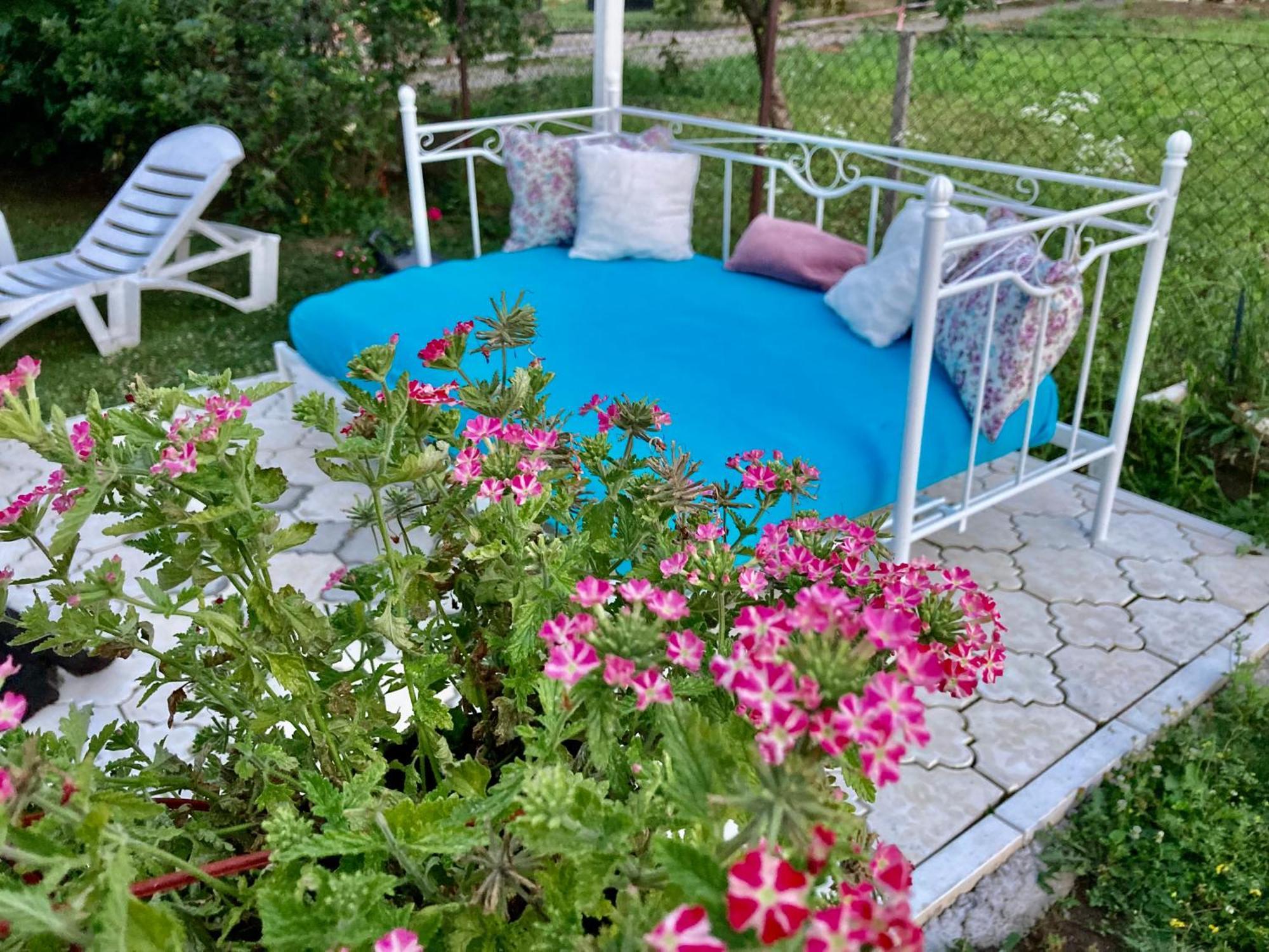 White House With Sauna And Jacuzzi Novi Sad Esterno foto